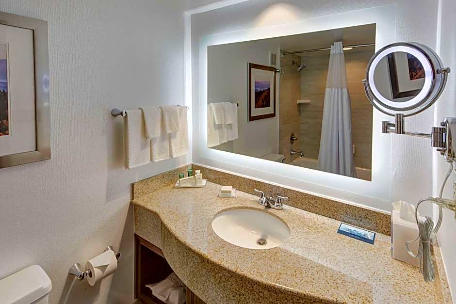 Hilton Knoxville Airport