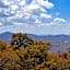 Beech Mountain Ski Studio - Fireplace - Fall & Ski Season