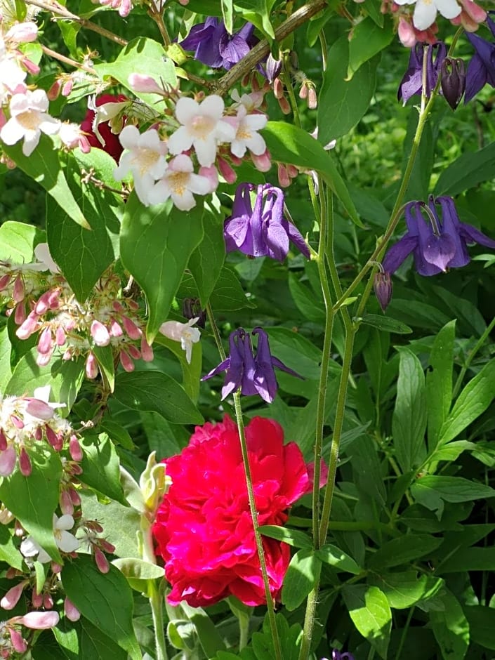 La Malinette B&B, calme et authenticité