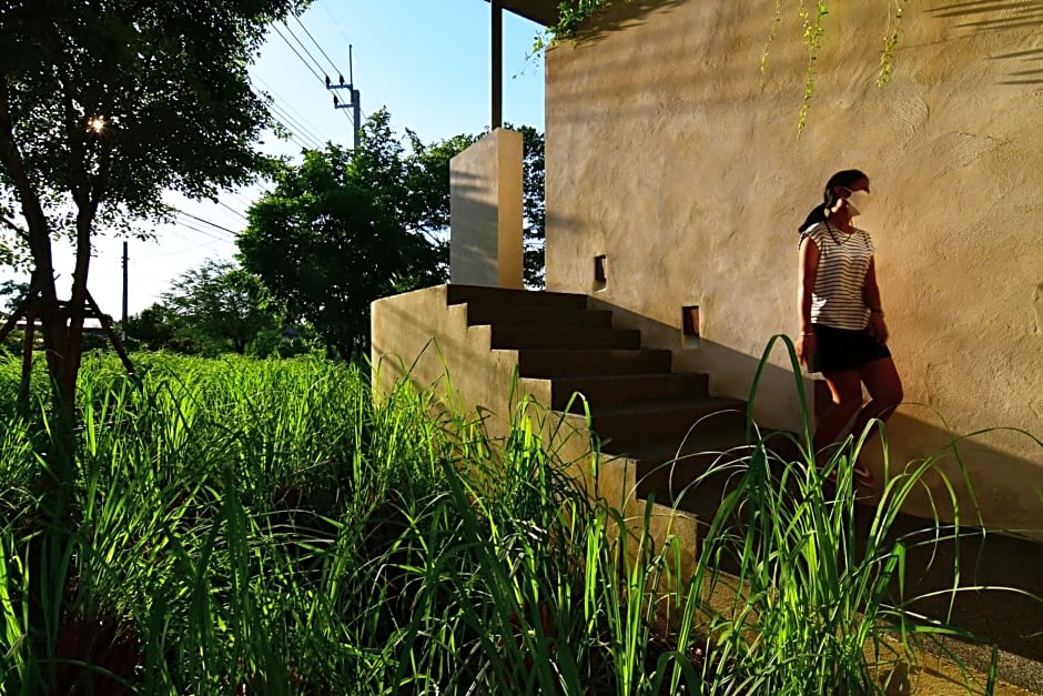 Coconut Lane Bangkok