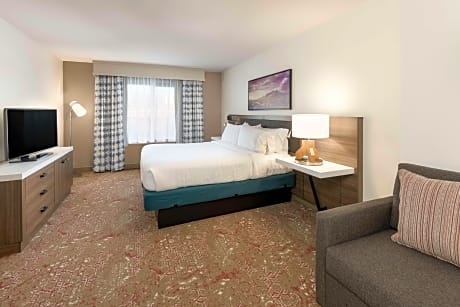 1 King 1 Bedroom Suite With Sofabed