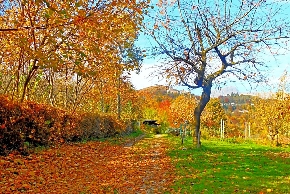 B&B La Coccinella Biologico