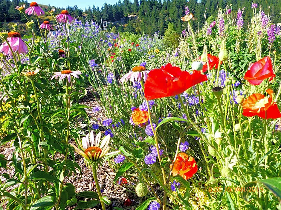 Fran and Frankie's Bed & Breakfast