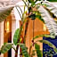 Riad de Vincent