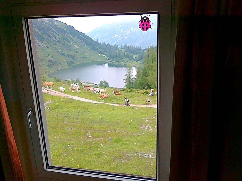 Hotel Berghof Tauplitzalm