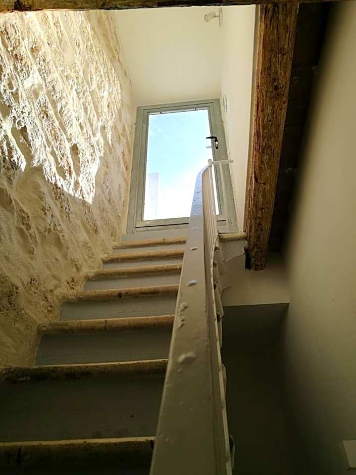 B&B Murex