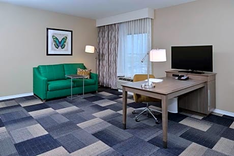 1 King Hearing Access Studio W/Sofabed Ns