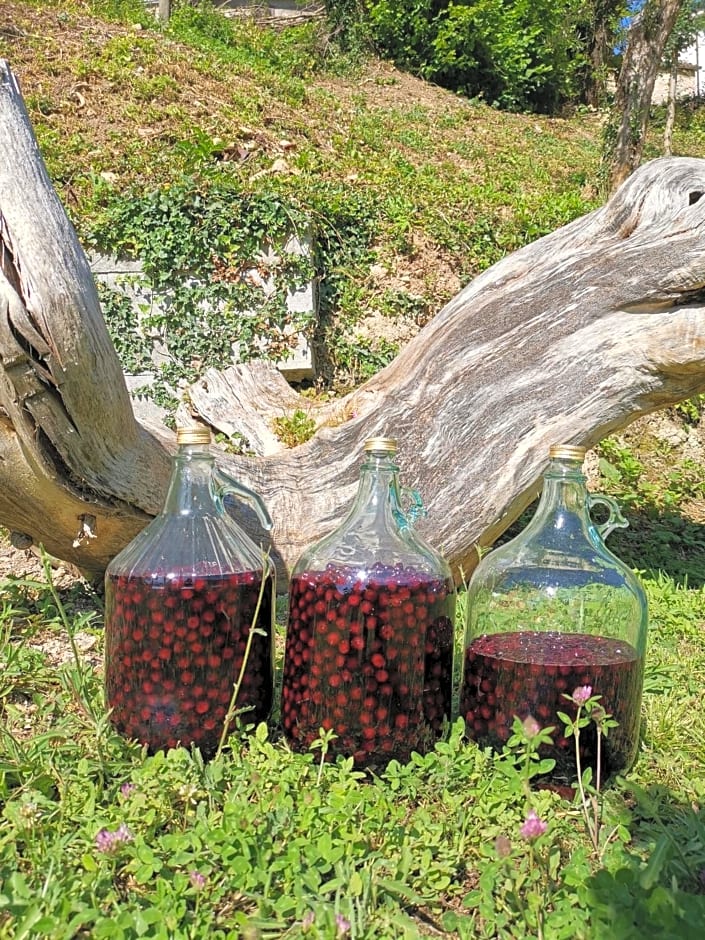 Bed & Breakfast SENTIERO 54