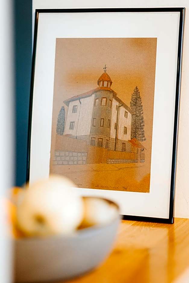 Pensiunea Violin Panzió