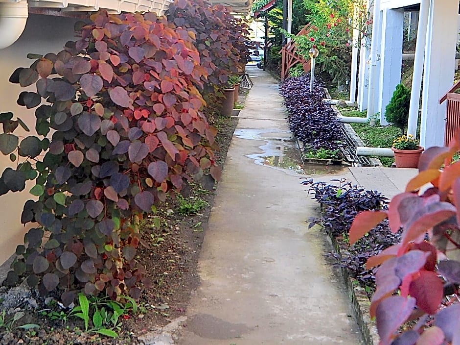 Nabalu Kundasang Lodge