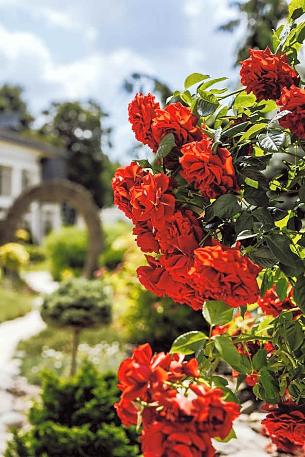 Rezydencja Luxury Hotel Bytom Piekary Śląskie