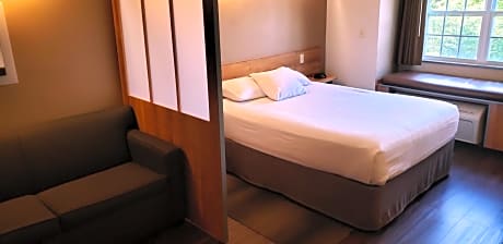 Studio Suite with a Queen Bed, Non-Smoking
