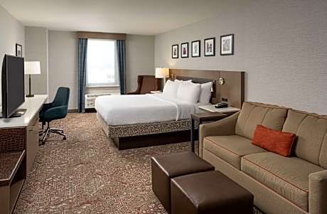 1 KING BED 1 BEDROOM PRESIDENTIAL SUITE