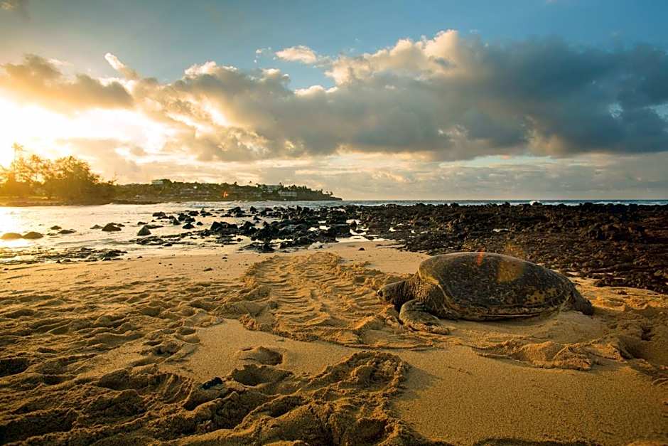 Marriott's Waiohai Beach Club