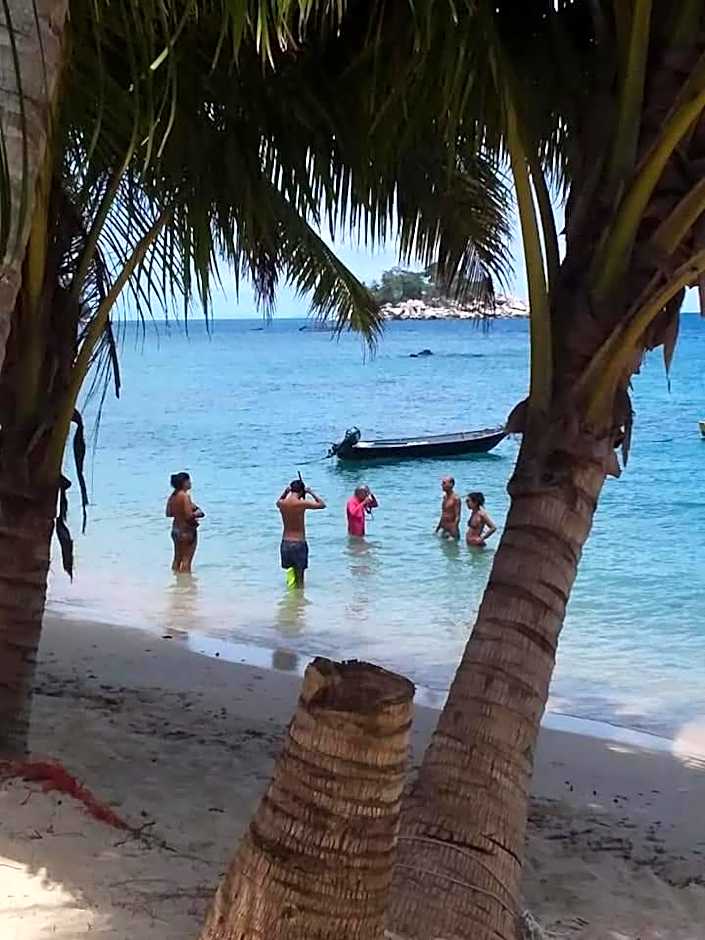 Ella's Place Salang Tioman