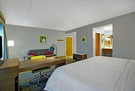 1 King Bed Studio Suite Shower Nonsmoking