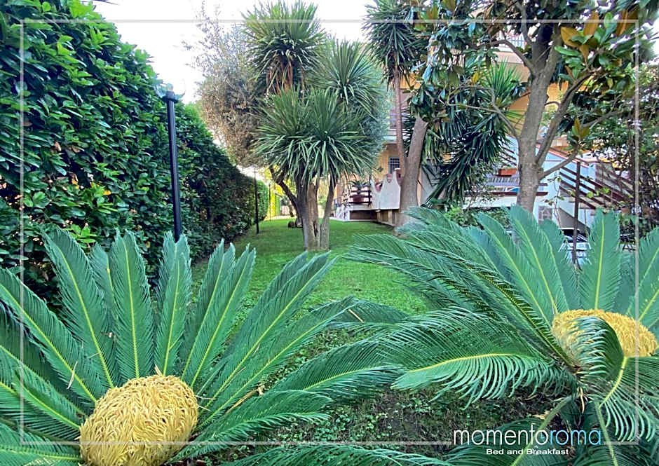 Momentoroma b&b