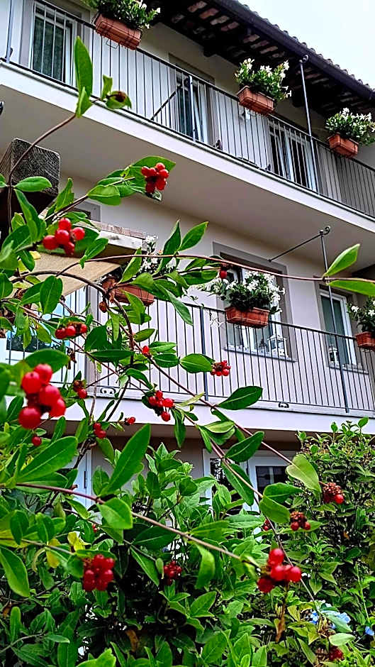 Il bosco delle torte