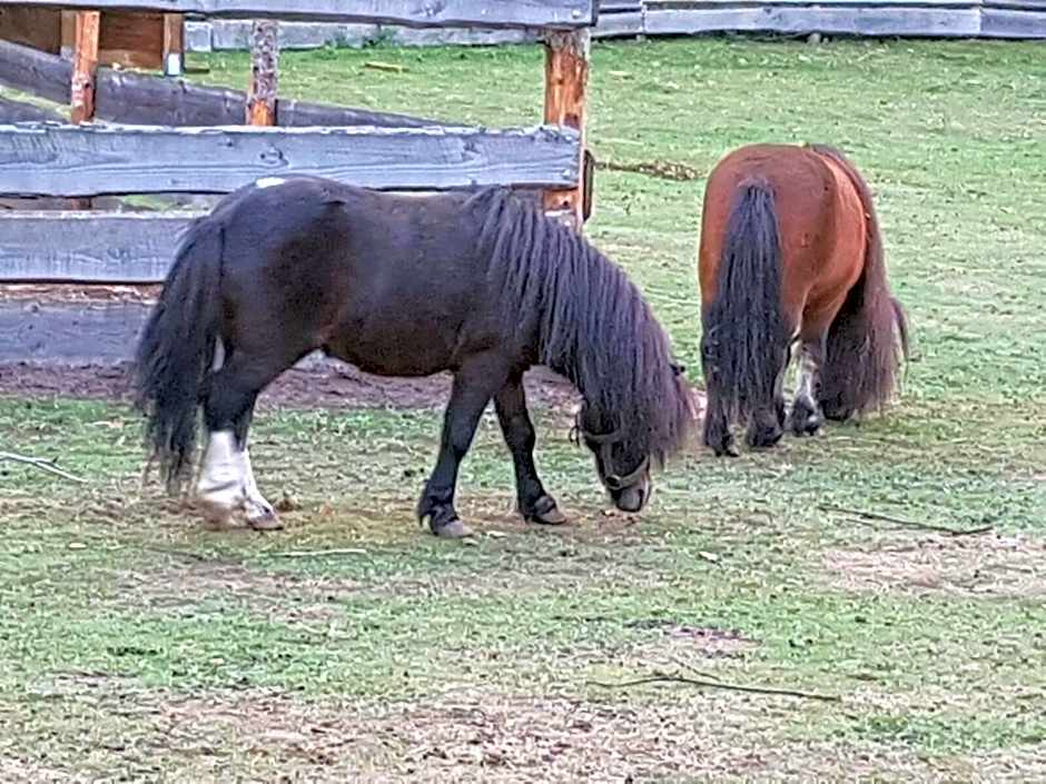 Neue Mühle Kleines Landhotel