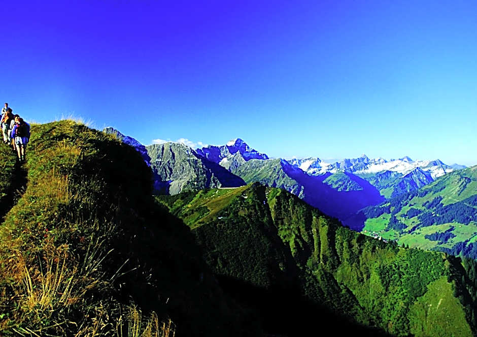 Ski- und Aktivhotel Almhof Rupp