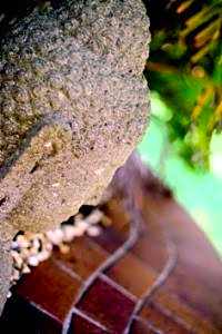 Ballina Palms Boutique Motel