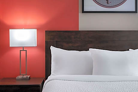 1 King Bed  Presidential Suite  Non-Smoking