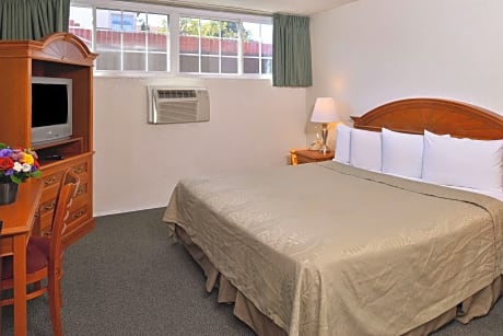 1 King Bed Non-Smoking