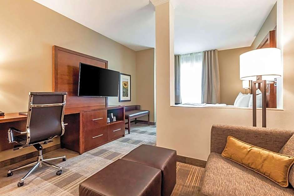 Comfort Suites University