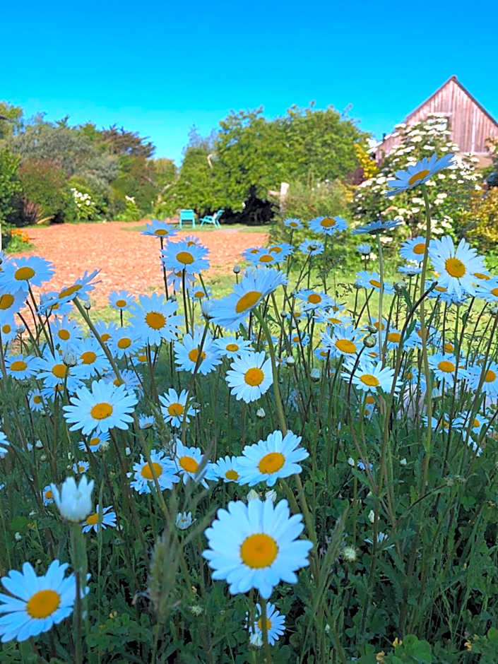 Les Chambres d'Hôtes de Bordustard