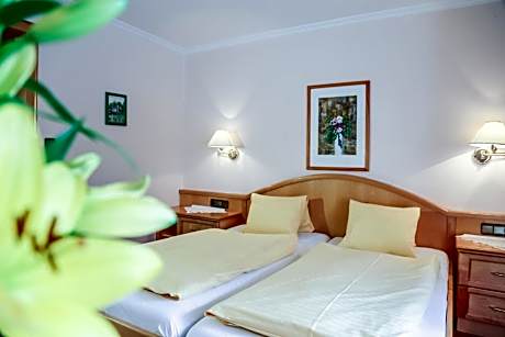 Double Room (Gasthaus)