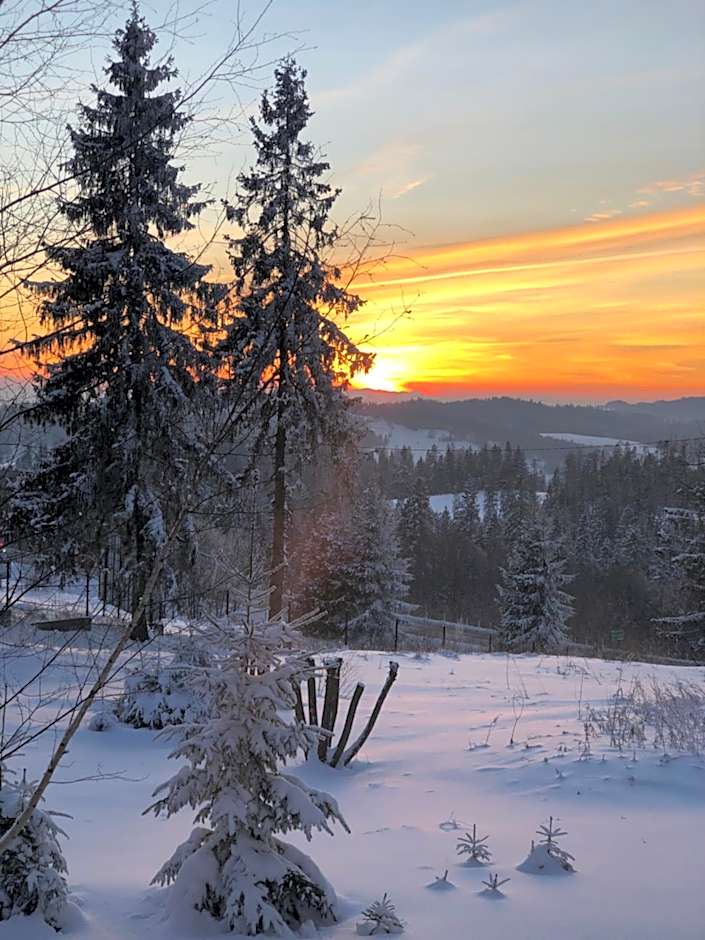 Hotel Restauracja U Guta