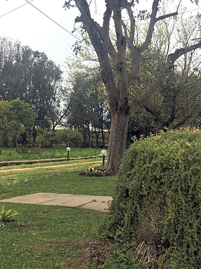 AGRIB&B Il Pomo d'oro