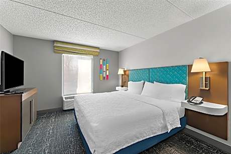 One-Bedroom King Suite with Wet Bar - Non-Smoking