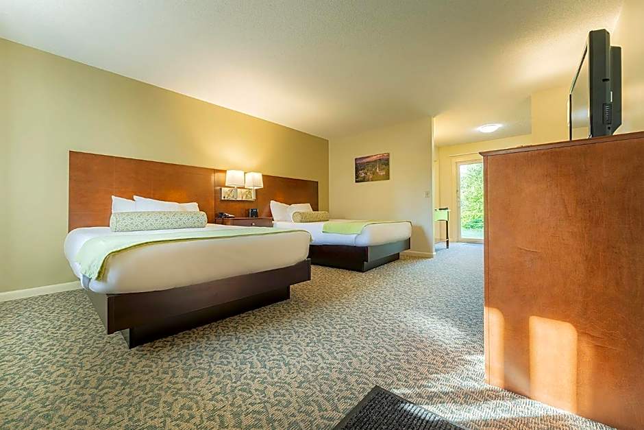 Photo 1 of 8 of Superior 1 Queen Bed