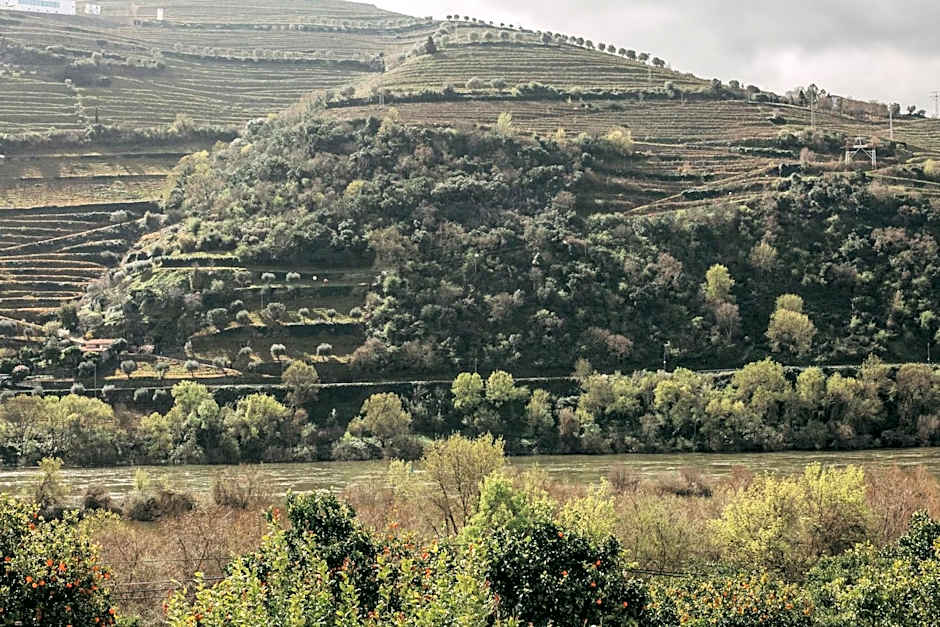 Torel Quinta da Vacaria - Douro Valley