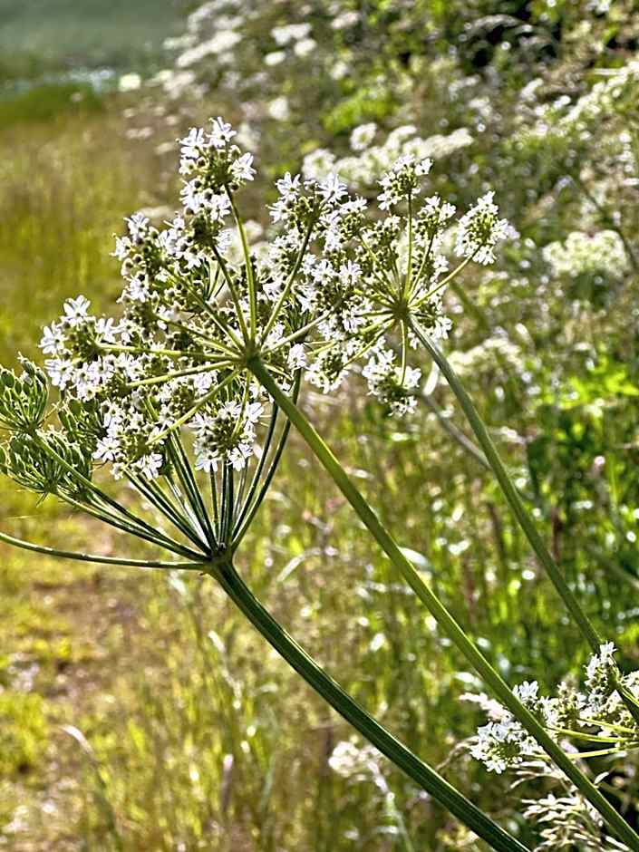 Bybrook Barn Bed & Breakfast