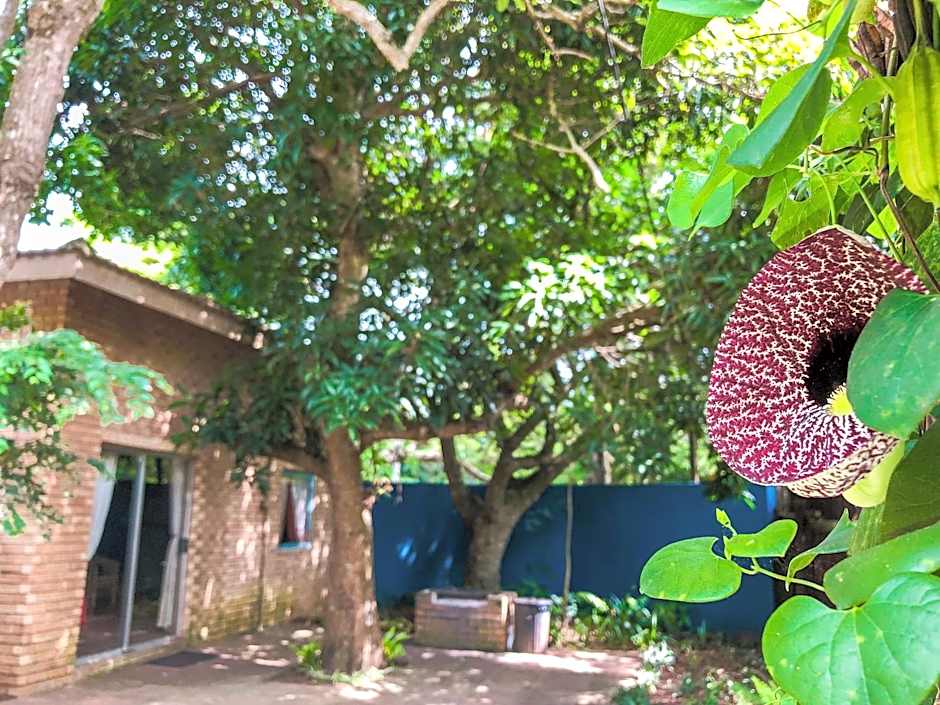 Ingwenya Lodge St Lucia