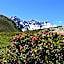Hotel Hohe Promenade