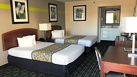 Business Double Room - Non-Smoking