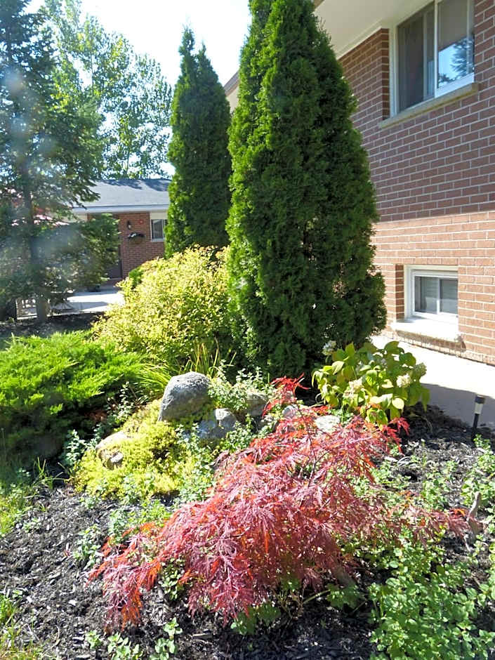 Oasis by the Bay Vacation Suites