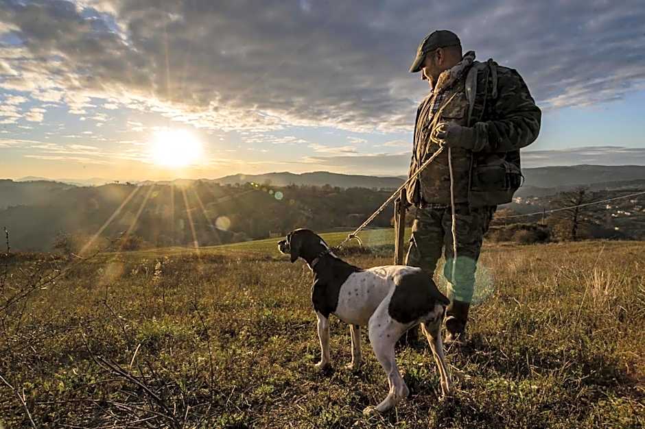 Albergo Hotel Raffaello