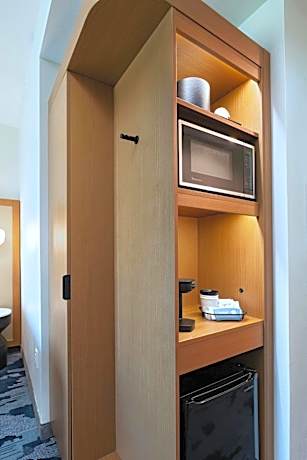 King Suite with Sofa Bed