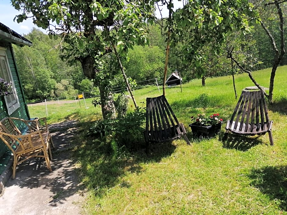 Poilsio kampelis Zarasuose