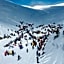 Lapland Hotels Pallas