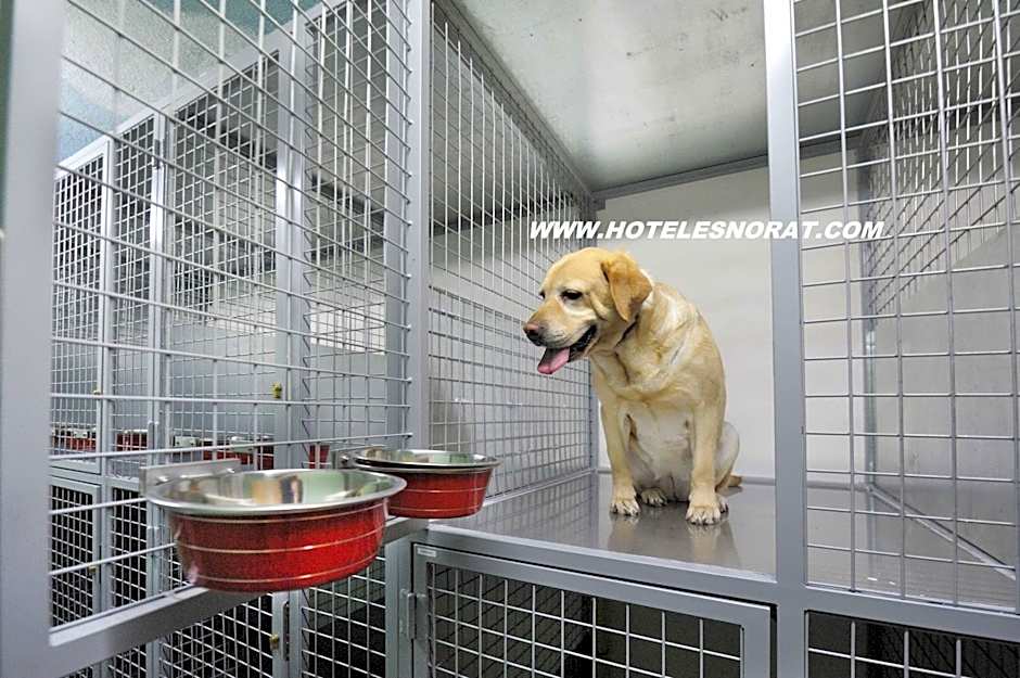 Hotel Norat Marina & Spa 4* Superior