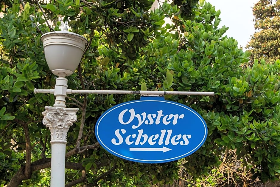 302 Oyster Schelles