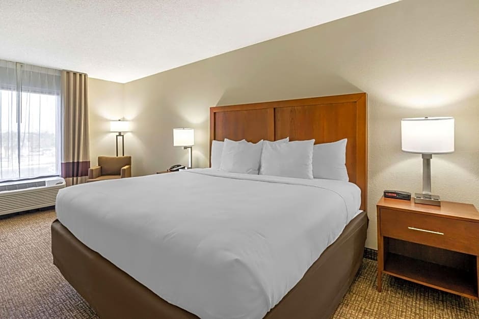 Comfort Inn & Suites St. Pete - Clearwater International Airport