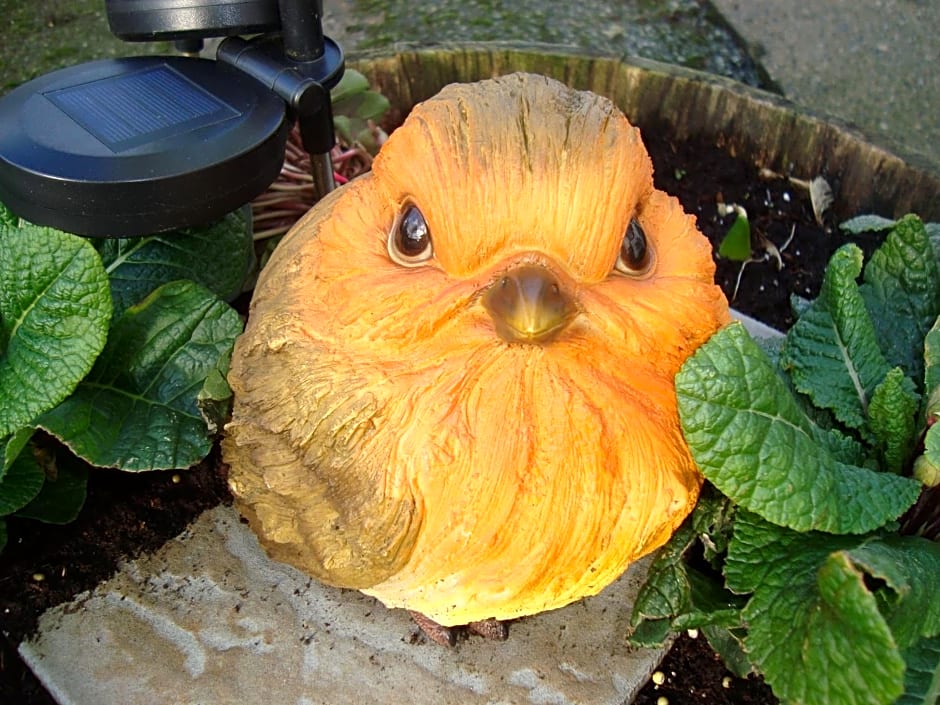 The Farmhouse Lochmeyler