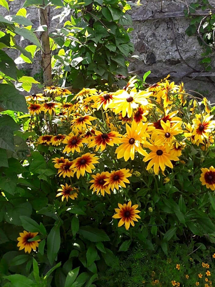 Urlaub am Zechnerhof