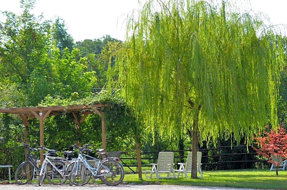 BB Il Grande Salice Bike Friends